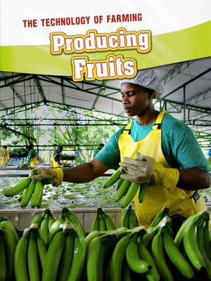 cover image of Producing Fruits